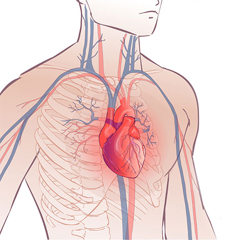 understanding-the-heart-of-the-matter