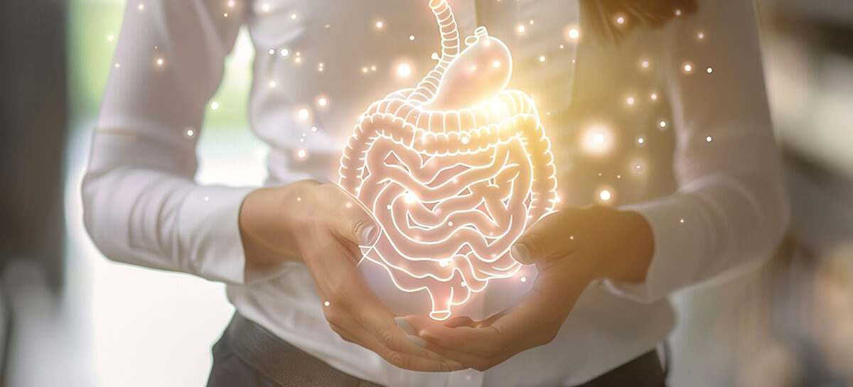 How to Maintain a Healthy Digestive System