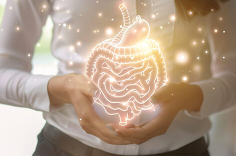 How to Maintain a Healthy Digestive System