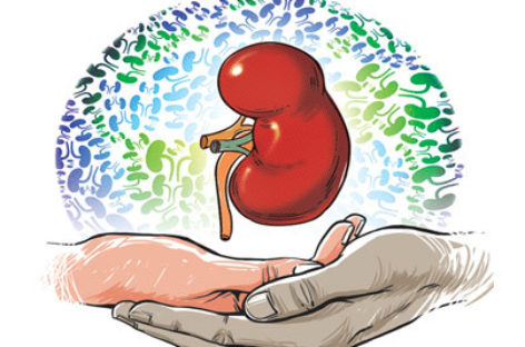 When do you need a renal transplant?