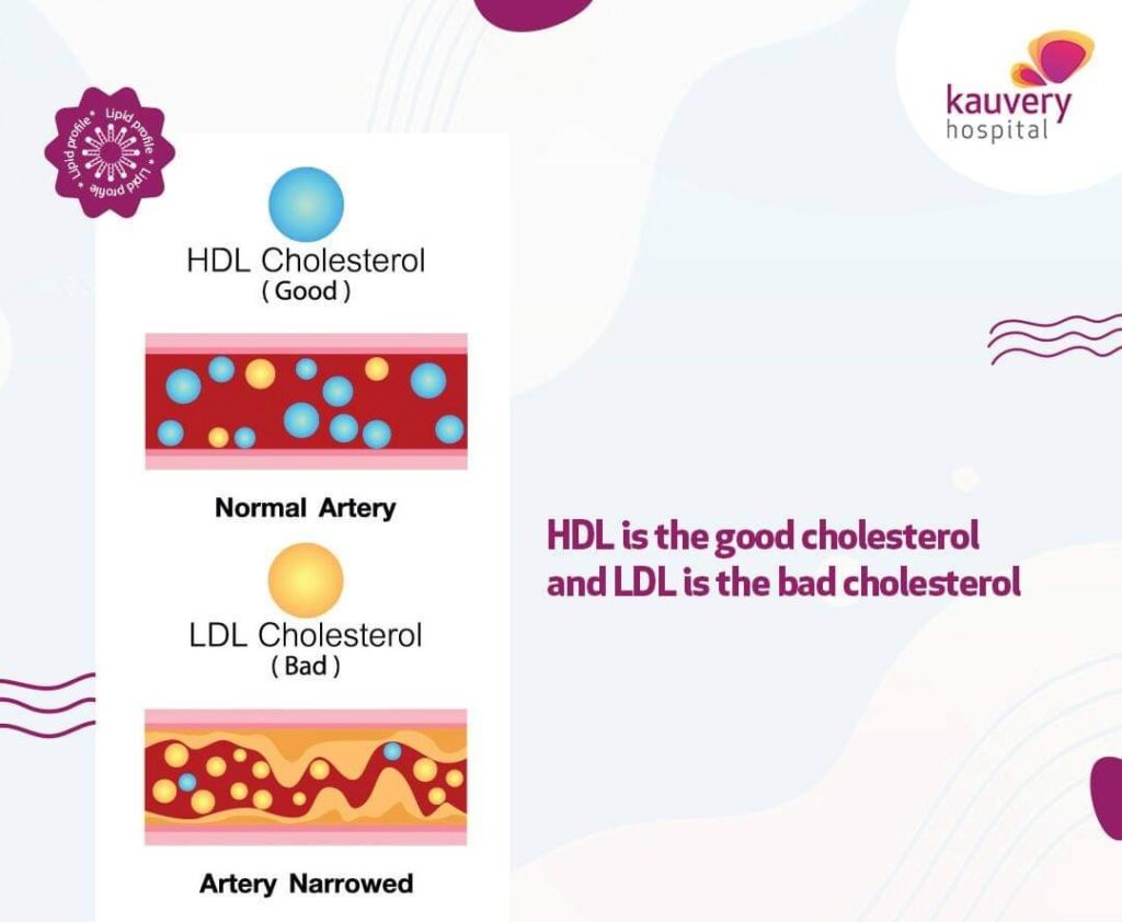 HDL and LDL
