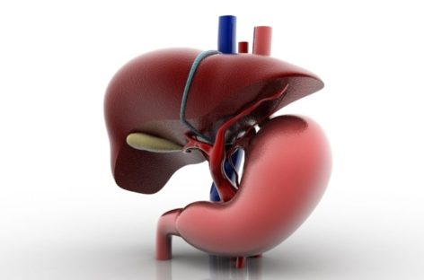 Role of Liver Biopsy in Managing Fatty Liver Disease