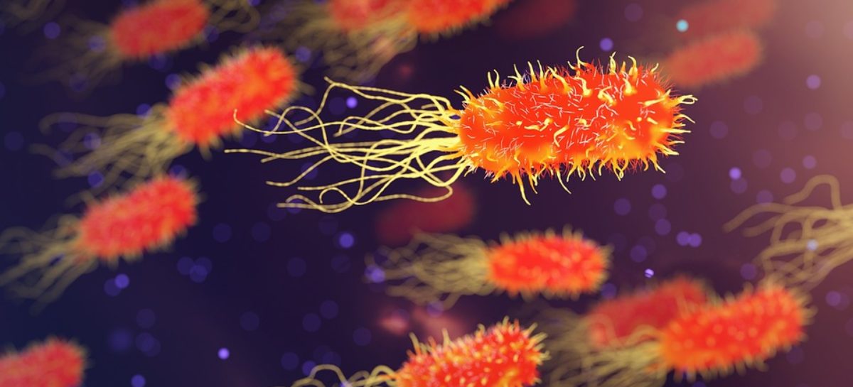 What are autoimmune diseases?