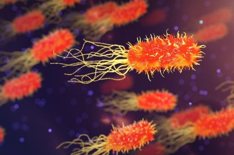 What are autoimmune diseases?