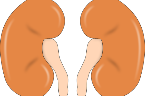 The Link between Diabetes and Kidney Diseases