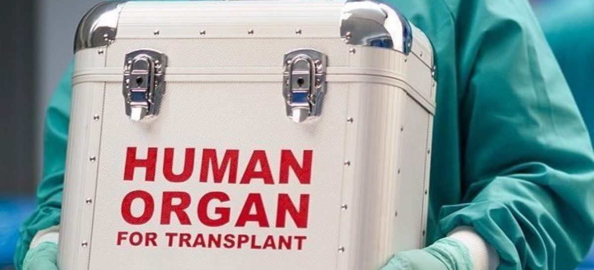 The Pros and Cons of Renal Transplantation