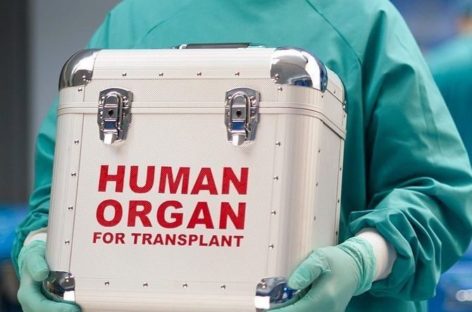 The Pros and Cons of Renal Transplantation