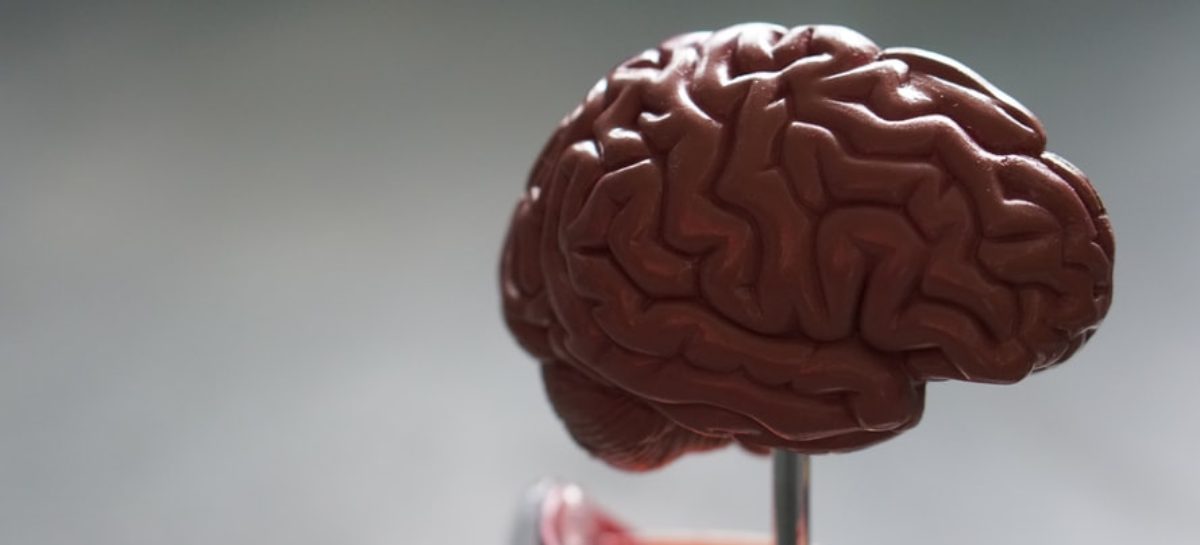 Concussions can be serious, seek immediate help