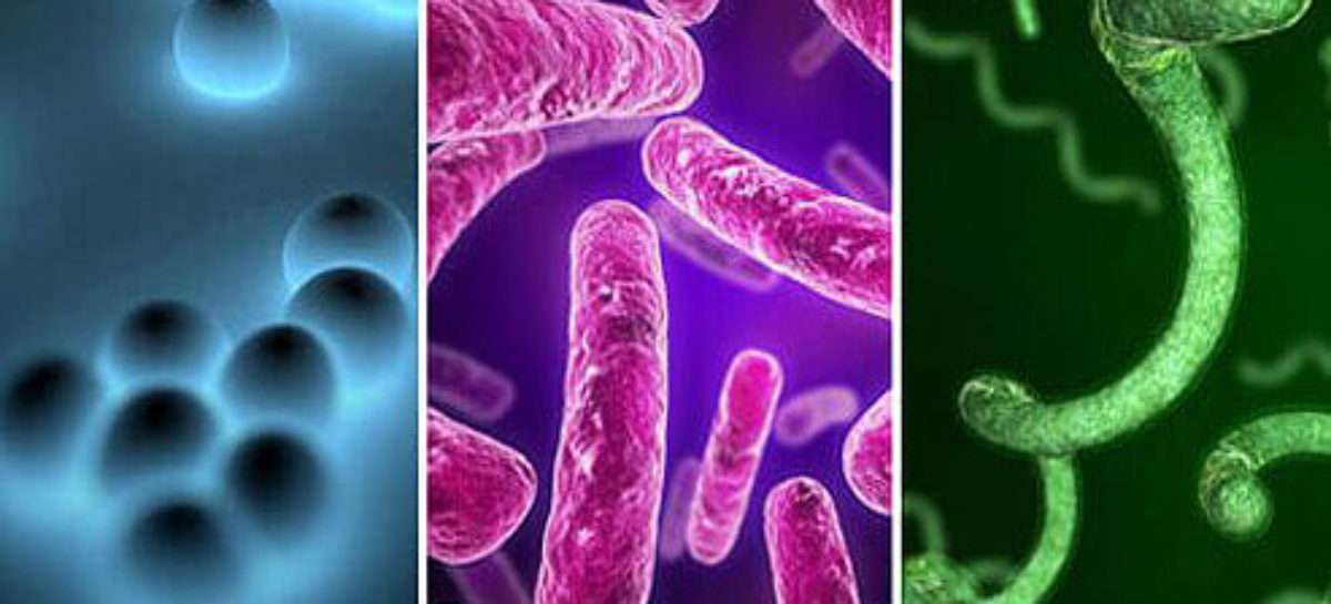How can you protect yourself from bacterial infections of the stomach?
