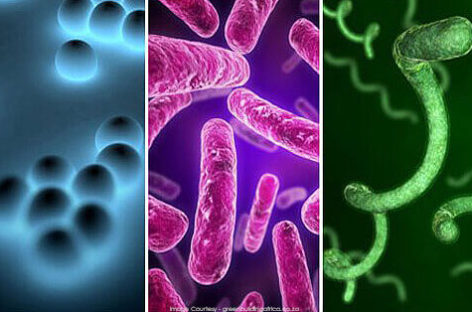 How can you protect yourself from bacterial infections of the stomach?