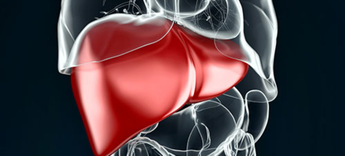 Liver Diseases – Causes, Symptoms, Diagnosis, and Treatment