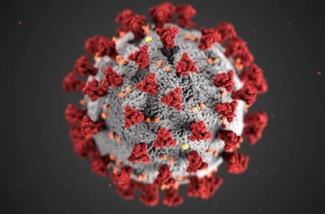 All about the new mutant strain of Covid-19 virus