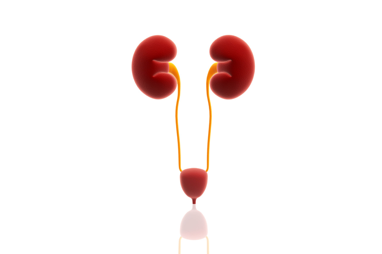 Kidney Disease