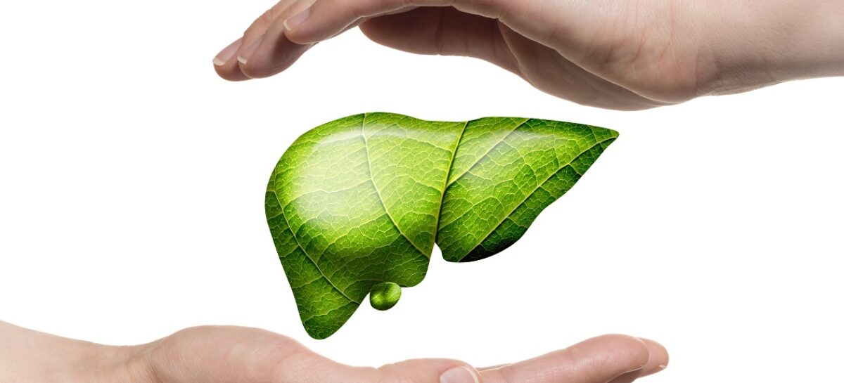 Who Can Be An Eligible Liver Donor?