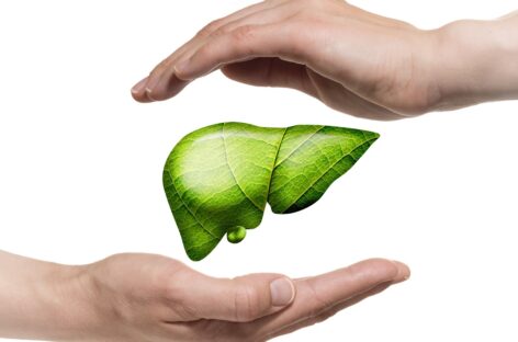 Who Can Be An Eligible Liver Donor?