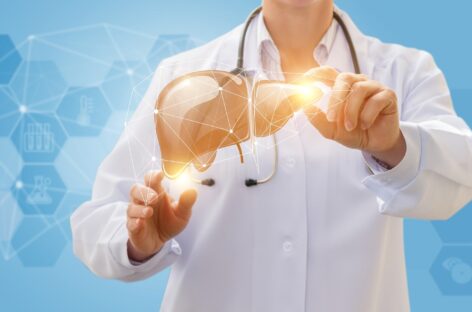 What Is The Role Of The Liver?