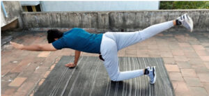 Bird and Dog Stretch