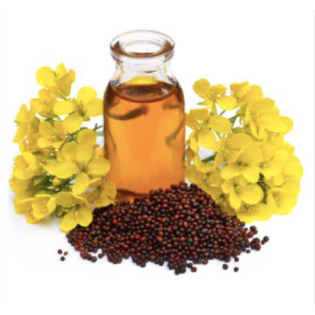 Mustard Oil