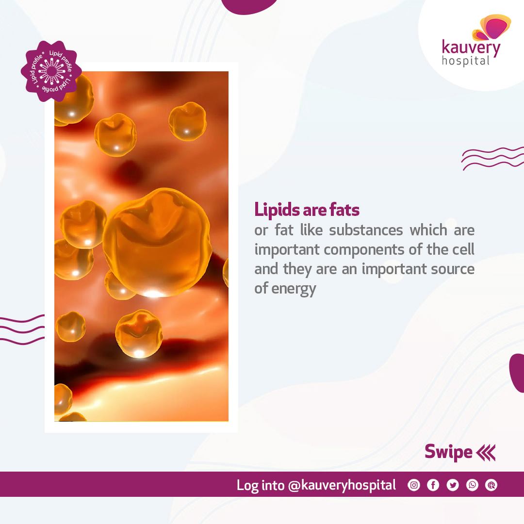 Lipids are fats