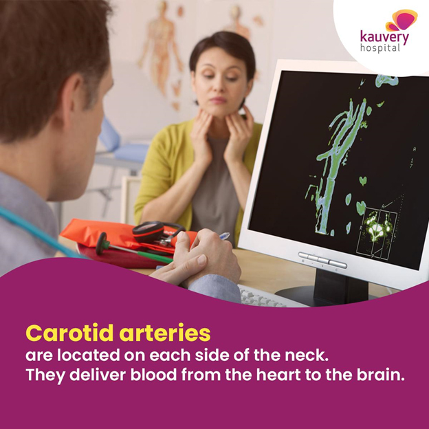 Carotid arteries