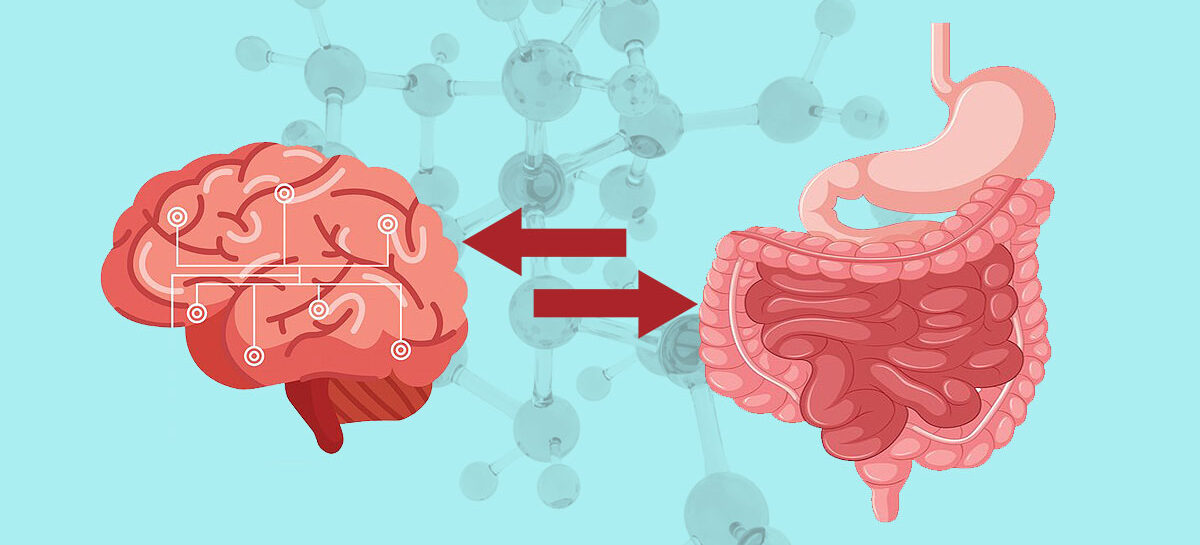 The Gut-Brain Connection