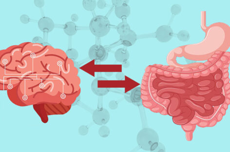The Gut-Brain Connection