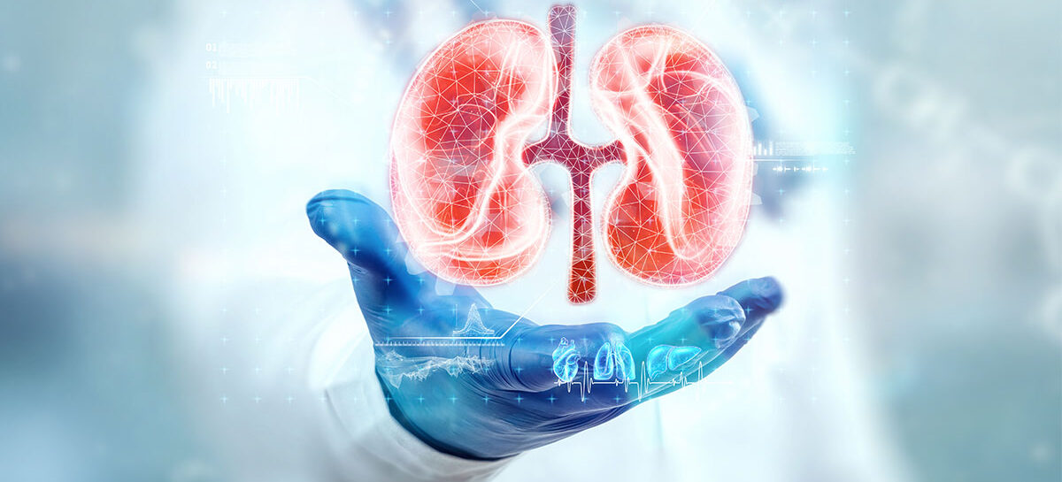 Renal Cell Carcinomas: All You Need to Know