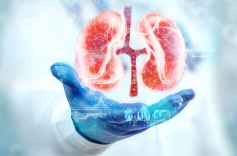 Renal Cell Carcinomas: All You Need to Know