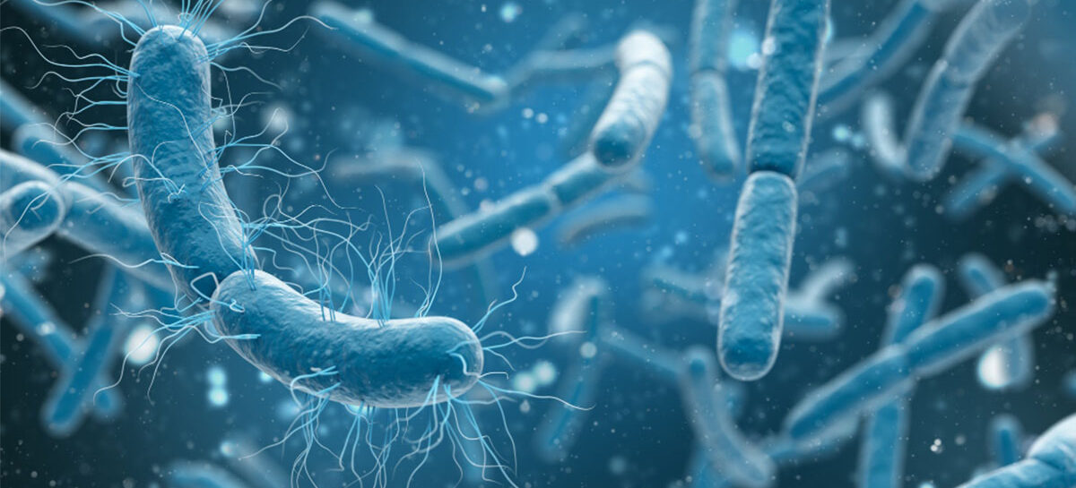 All you need to know about E-coli infection