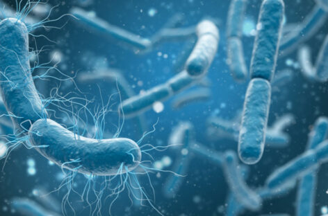 All you need to know about E-coli infection