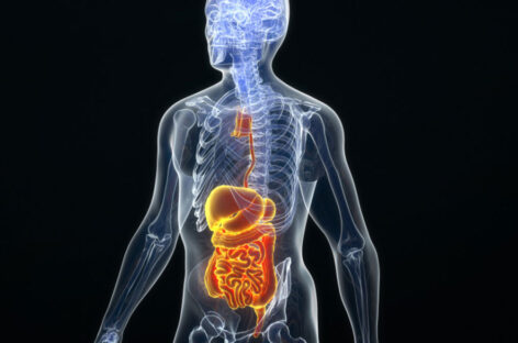 Different Types of Cancer which Affects the Digestive System