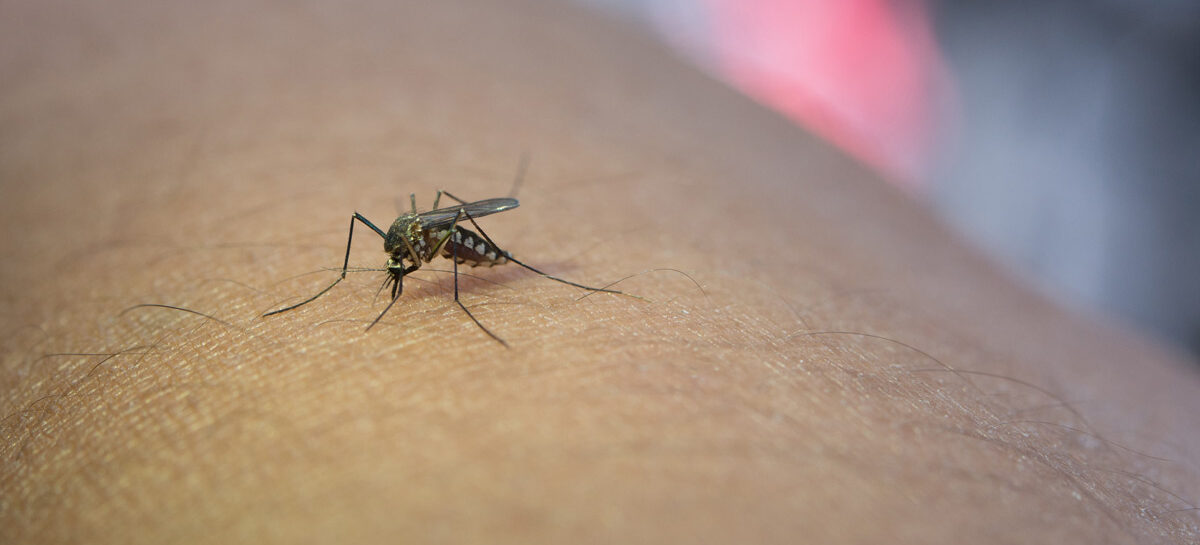 Debunking Myths about Dengue and its Treatment
