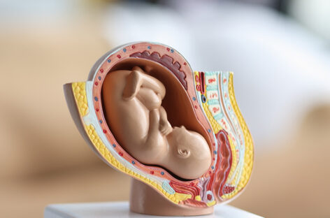 Monitor the movement of the foetus!