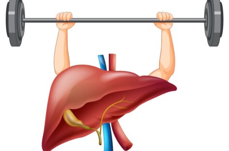 The Link Between Liver Health and Diet – What to Eat for a Healthy Liver