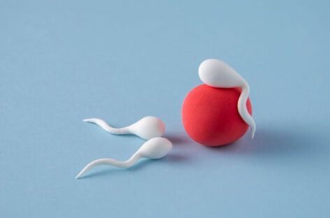 Male Fertility – Myths and Facts