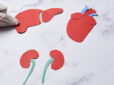 Living vs. Deceased Donor Transplants – Pros and Cons