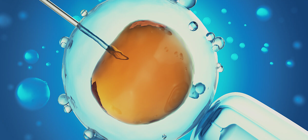 A Patient’s Guide to IVF – Finance Edition