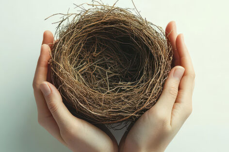 Embracing the Empty Nest – Navigating a New Chapter in Life