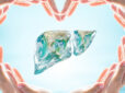 Liver – the organ that waits. Until it can’t.