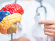 Brain Tumours Today: Earlier Detection, Safer Treatment and More Hope Than Ever Before