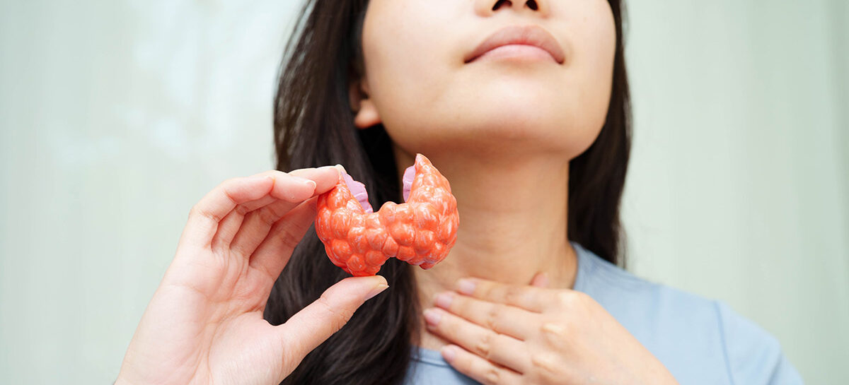 The Link between Thyroid and Obesity