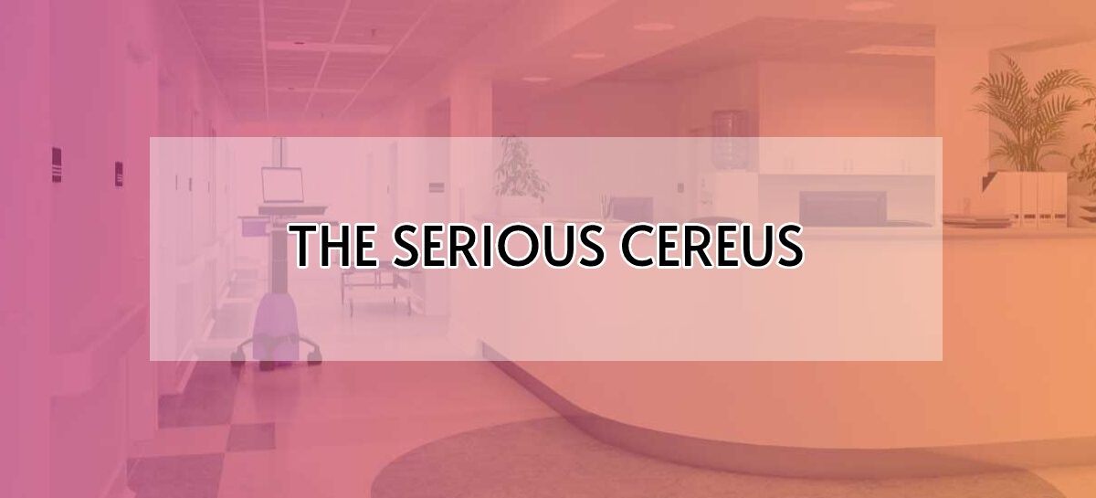 THE SERIOUS CEREUS