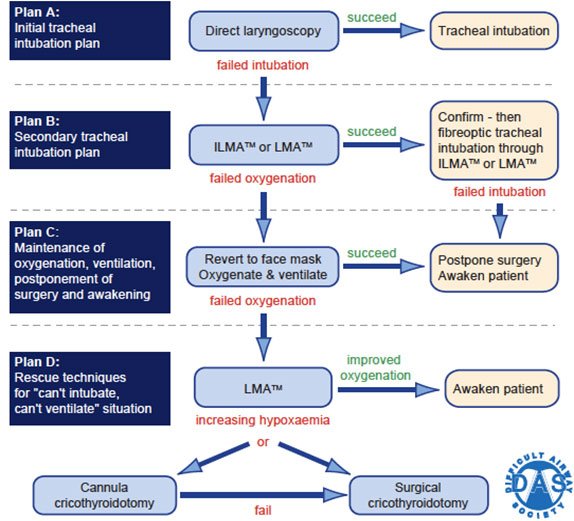 ANAESTHESIA FOR A HUGE MULTIGOIDULAR GOITER