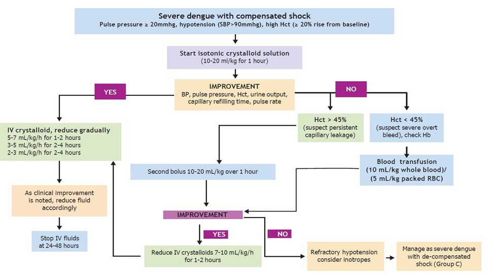 DENGUE HEMORRHAGIC FEVER – A CASE REPORT AND MANAGEMENT APPROACH
