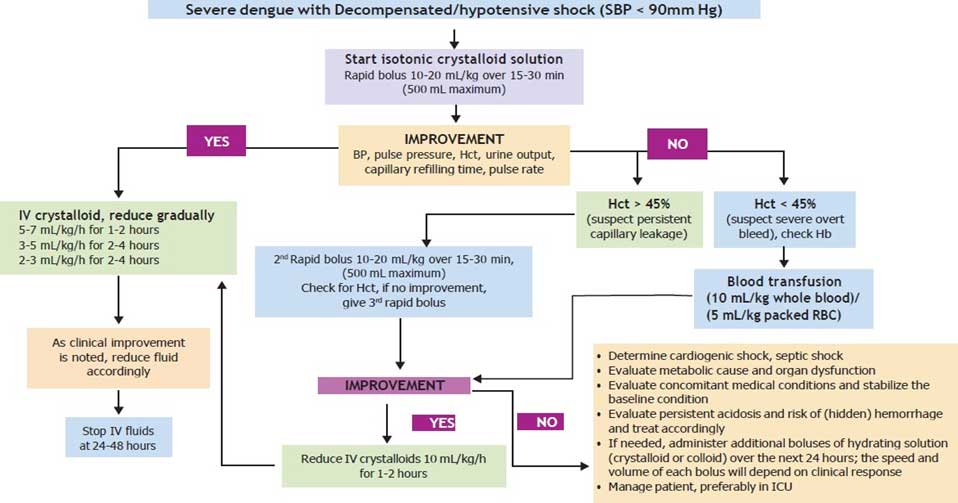 DENGUE HEMORRHAGIC FEVER – A CASE REPORT AND MANAGEMENT APPROACH