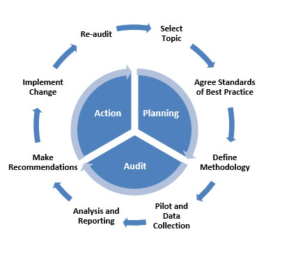 clinical-audit