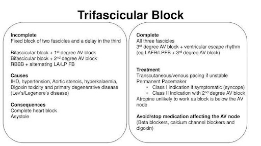 Diagnostic-Image-3