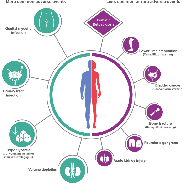 Usage-of-Dapagliflozin-in-Elderly-1