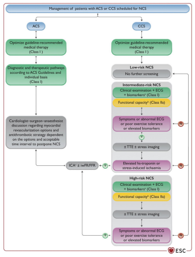 Risk-stratification-6