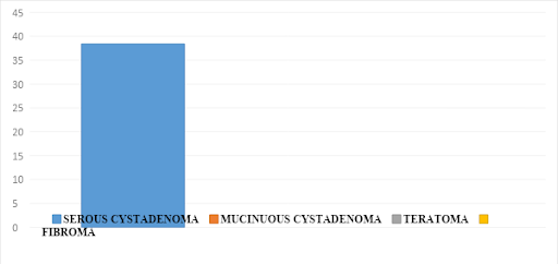 Indeterminate-Cyst-3